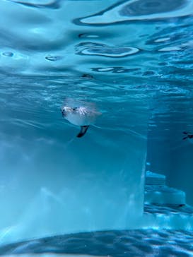 AOAO SAPPOROに投稿された画像（2024/3/19）