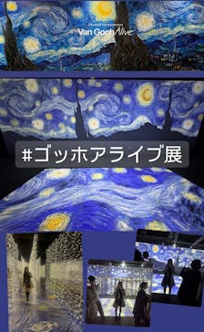 ゴッホ・アライブに投稿された画像（2024/3/19）