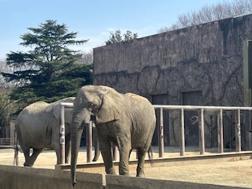 東武動物公園に投稿された画像（2024/3/19）