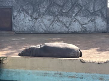 東武動物公園に投稿された画像（2024/3/19）