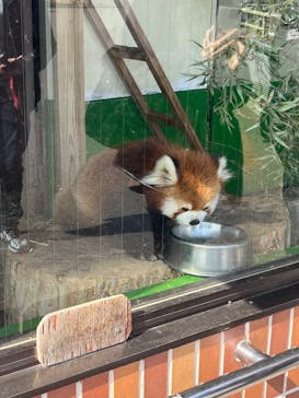 東武動物公園に投稿された画像（2024/3/19）