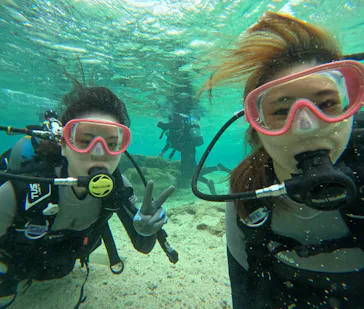 武藤潜水に投稿された画像（2024/3/19）