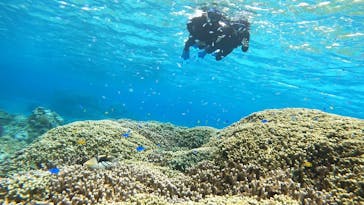 宮古島 ADVENTURE PiPi（ミヤコジマ アドベンチャー ピピ）に投稿された画像（2024/3/19）