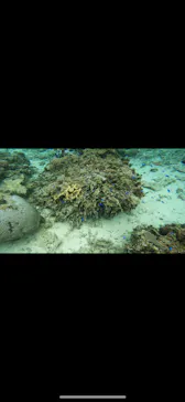 武藤潜水に投稿された画像（2024/3/19）