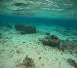 沖縄マリンサービス碧に投稿された画像（2024/3/19）