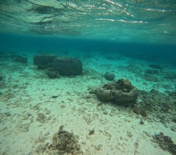 沖縄マリンサービス碧に投稿された画像（2024/3/19）