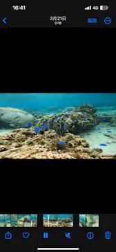 武藤潜水に投稿された画像（2024/3/19）