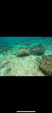 武藤潜水に投稿された画像（2024/3/19）