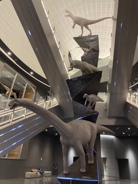 福井県立恐竜博物館に投稿された画像（2024/3/19）