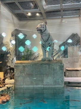 NIFREL（ニフレル）に投稿された画像（2024/3/19）