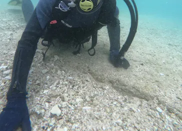 武藤潜水に投稿された画像（2024/3/19）