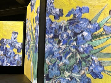 ゴッホ・アライブに投稿された画像（2024/3/19）