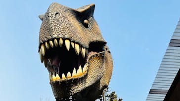 ディノアドベンチャー名古屋に投稿された画像（2024/3/19）