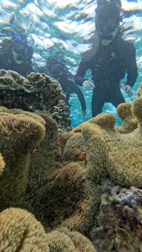 宮古島 ADVENTURE PiPi（ミヤコジマ アドベンチャー ピピ）に投稿された画像（2024/3/19）