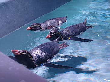 AOAO SAPPOROに投稿された画像（2024/3/19）