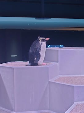 AOAO SAPPOROに投稿された画像（2024/3/19）