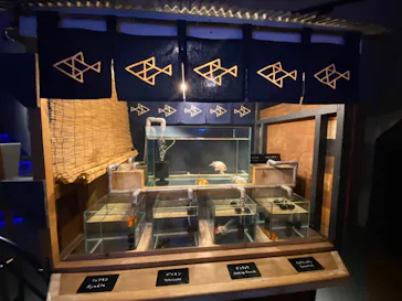 すみだ水族館に投稿された画像（2024/3/19）