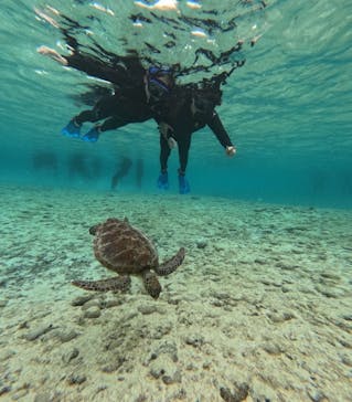 宮古島 ADVENTURE PiPi（ミヤコジマ アドベンチャー ピピ）に投稿された画像（2024/3/19）