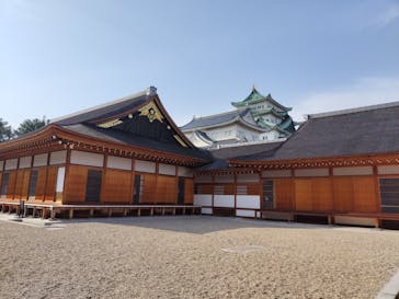 名古屋城に投稿された画像（2024/3/19）