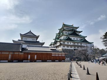 名古屋城に投稿された画像（2024/3/19）