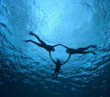 宮古島 ADVENTURE PiPi（ミヤコジマ アドベンチャー ピピ）に投稿された画像（2024/3/19）