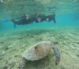 宮古島 ADVENTURE PiPi（ミヤコジマ アドベンチャー ピピ）に投稿された画像（2024/3/19）