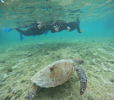 宮古島 ADVENTURE PiPi（ミヤコジマ アドベンチャー ピピ）に投稿された画像（2024/3/19）