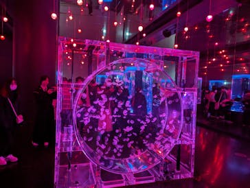 マクセル アクアパーク品川に投稿された画像（2024/3/19）