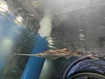 マクセル アクアパーク品川に投稿された画像（2024/3/19）