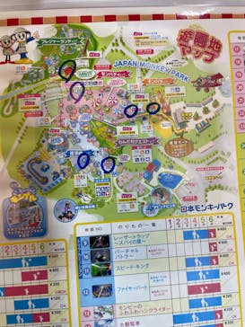 日本モンキーパークに投稿された画像（2024/3/19）