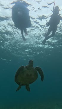 宮古島 ADVENTURE PiPi（ミヤコジマ アドベンチャー ピピ）に投稿された画像（2024/3/19）