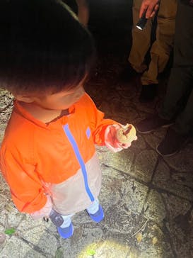 宮古島 ADVENTURE PiPi（ミヤコジマ アドベンチャー ピピ）に投稿された画像（2024/3/19）