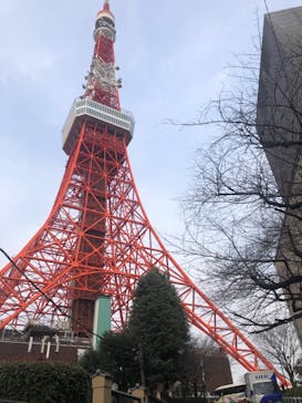 東京タワーに投稿された画像（2024/3/19）