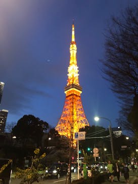 東京タワーに投稿された画像（2024/3/19）