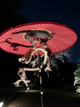 六義園に投稿された画像（2024/3/19）