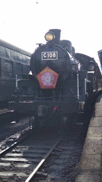 大井川鐵道株式会社に投稿された画像（2024/3/19）