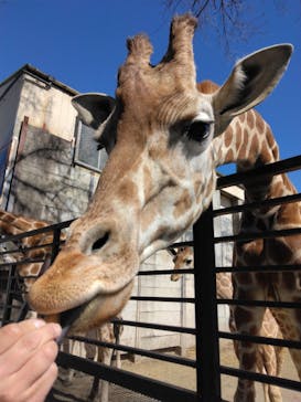 宇都宮動物園に投稿された画像（2024/3/19）
