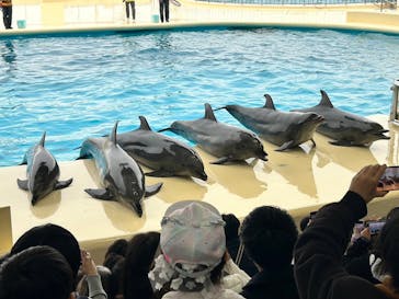 マリンワールド海の中道に投稿された画像（2024/3/19）