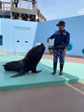 横浜・八景島シーパラダイスに投稿された画像（2024/3/19）