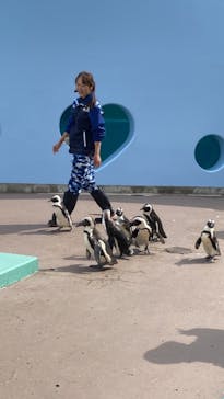 横浜・八景島シーパラダイスに投稿された画像（2024/3/19）