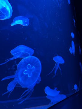 AOAO SAPPOROに投稿された画像（2024/3/19）