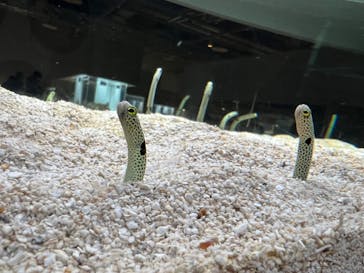 AOAO SAPPOROに投稿された画像（2024/3/19）