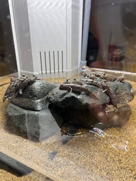 AOAO SAPPOROに投稿された画像（2024/3/19）