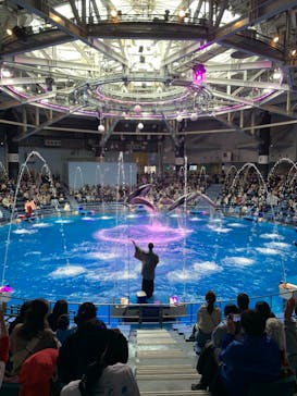 マクセル アクアパーク品川に投稿された画像（2024/3/19）