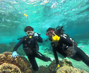 武藤潜水に投稿された画像（2024/3/19）