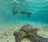 nico 宮古島に投稿された画像（2024/3/20）