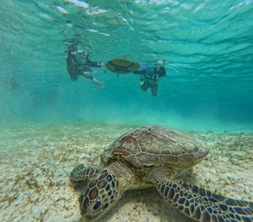 nico 宮古島に投稿された画像（2024/3/20）