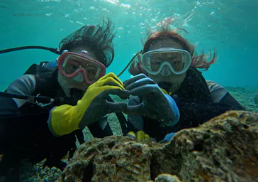 武藤潜水に投稿された画像（2024/3/20）