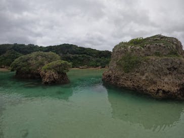 宮古島 ADVENTURE PiPi（ミヤコジマ アドベンチャー ピピ）に投稿された画像（2024/3/20）