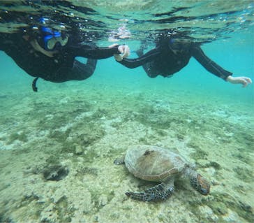 宮古島 ADVENTURE PiPi（ミヤコジマ アドベンチャー ピピ）に投稿された画像（2024/3/20）